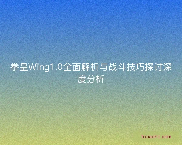 拳皇Wing1.0全面解析与战斗技巧探讨深度分析